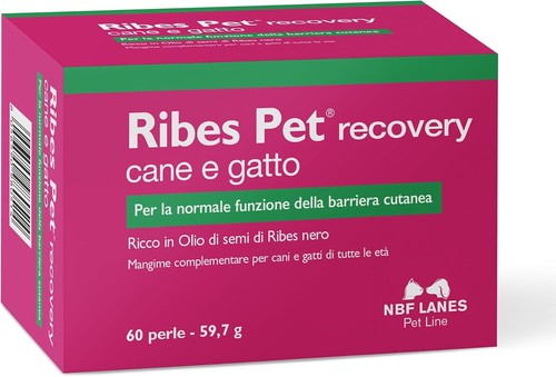 Nbf ribes pet - nbf,