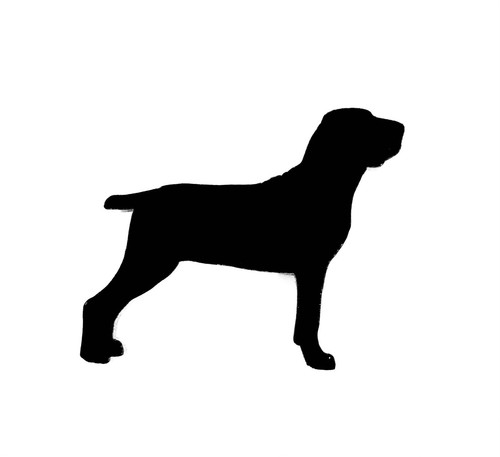 Bracco italiano cane spilla - italiano,