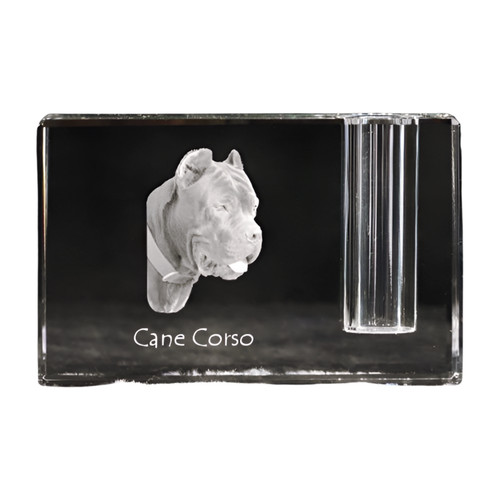Cane corso italiano - cane,