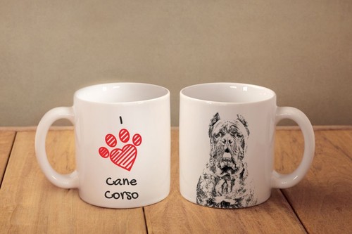 Cane corso - corso,,