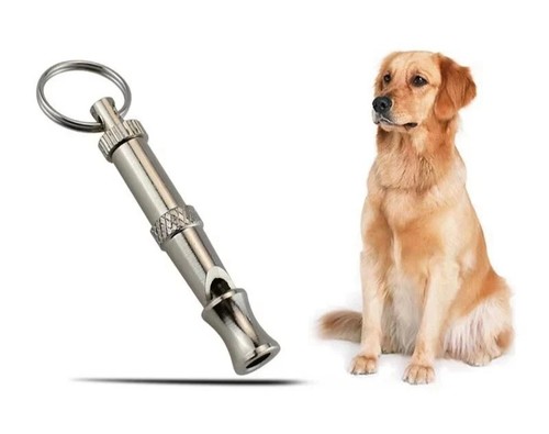 Cane fischio per smettere - cane, di