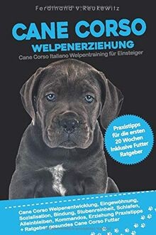 Cane corso welpenerziehung - cane,