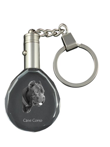 Cane corso - cane,