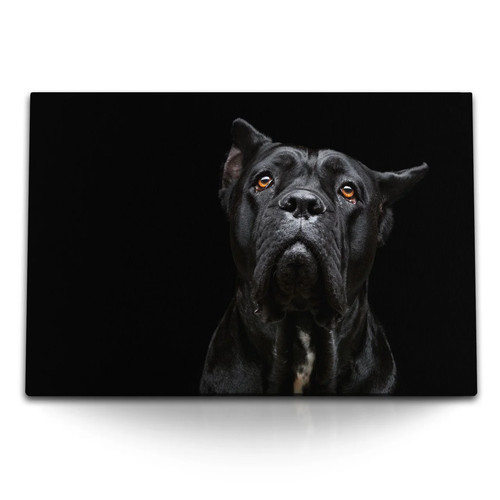 Quadro tela 120x80 - quadro,