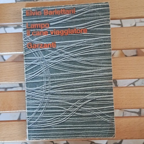 Elvio banettani lampo il - elvio,