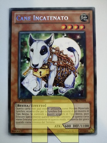Cane incatenato chain dog - cane, ®