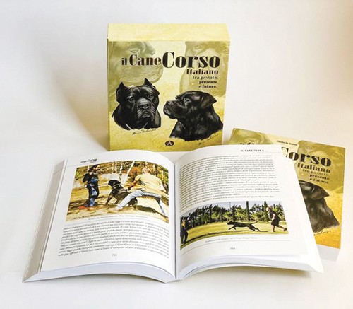 Cane corso italiano tra - cane,
