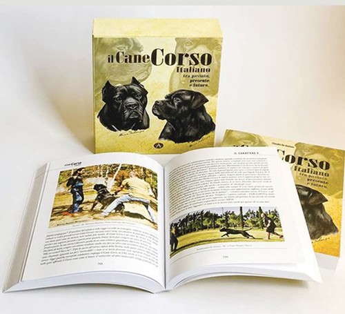 Cane corso italiano tra - il,