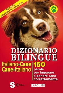 Dizionario bilingue - dizionario,