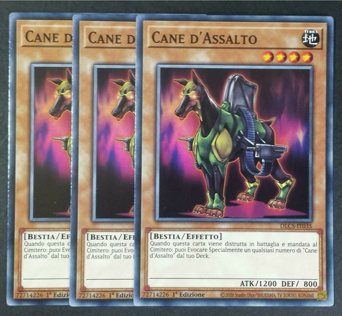 Set carte cane - set,