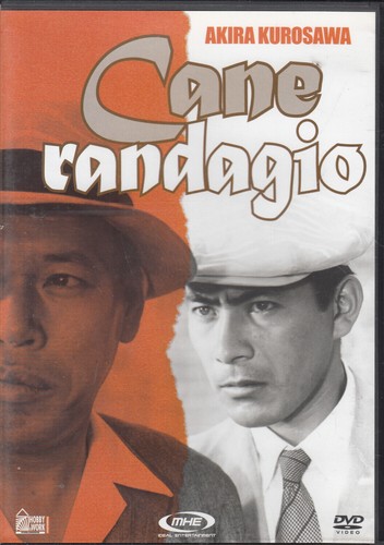 Cane randagio - cane,