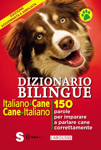Dizionario bilingue