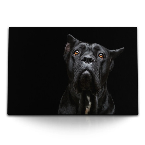 Quadro tela 120x80 - quadro,