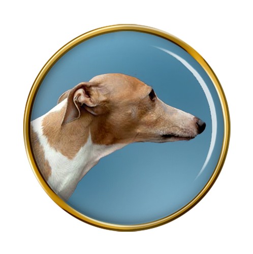 Italiano cane levriero - italiano,